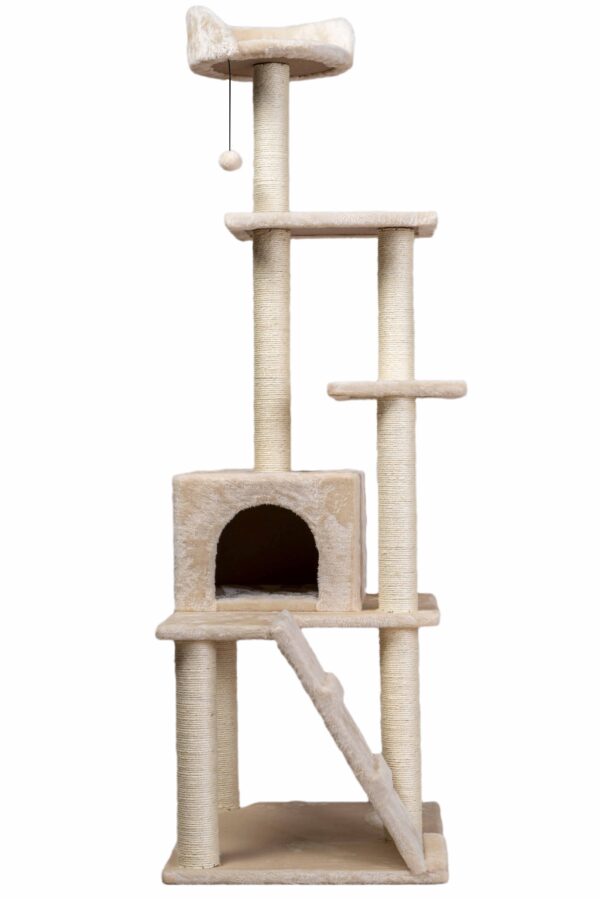 Six Scratching Post