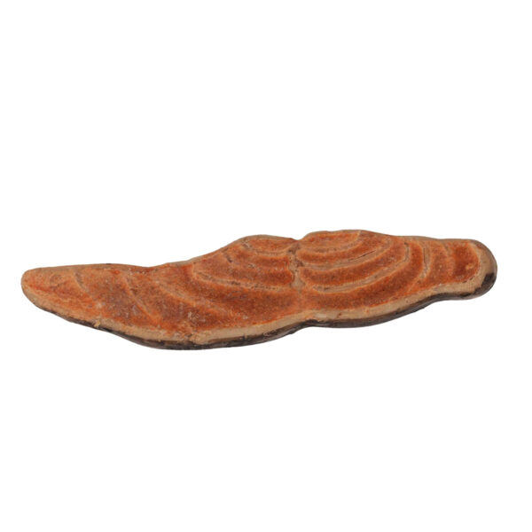 Snack Light BBQ Salmón. 1kg - Imagen 2