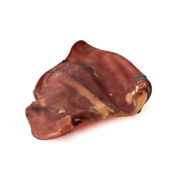 Oreja de Cerdo - Imagen 6